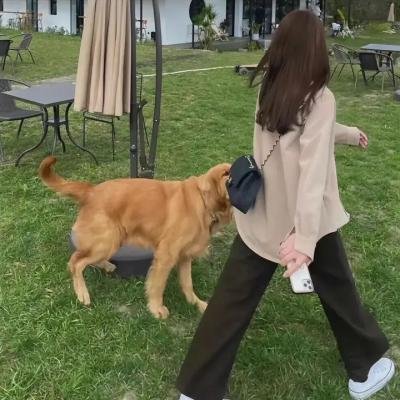 圣保罗砲艇